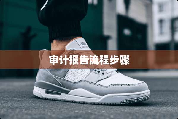 审计报告流程步骤