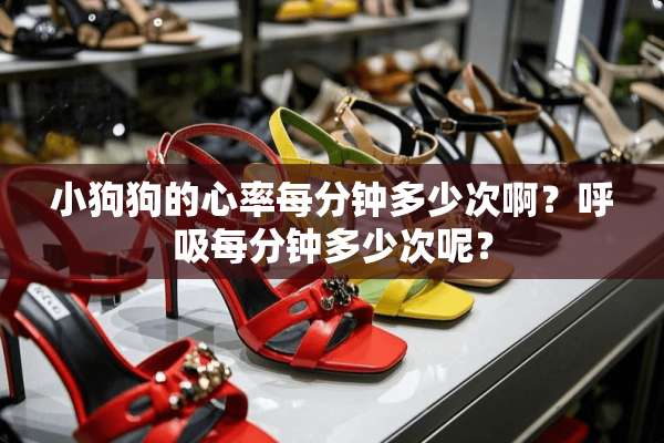 小狗狗的心率每分钟多少次啊？呼吸每分钟多少次呢？
