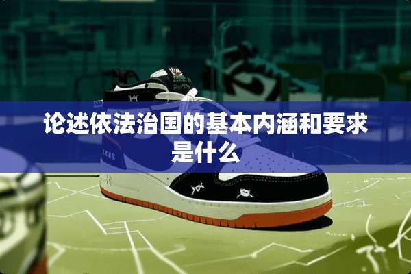 论述依法治国的基本内涵和要求是什么
