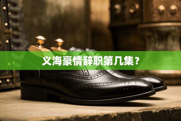 义海豪情辞职第几集？