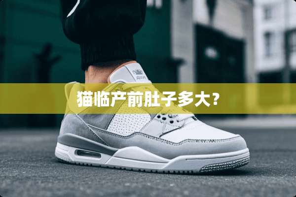猫临产前肚子多大？