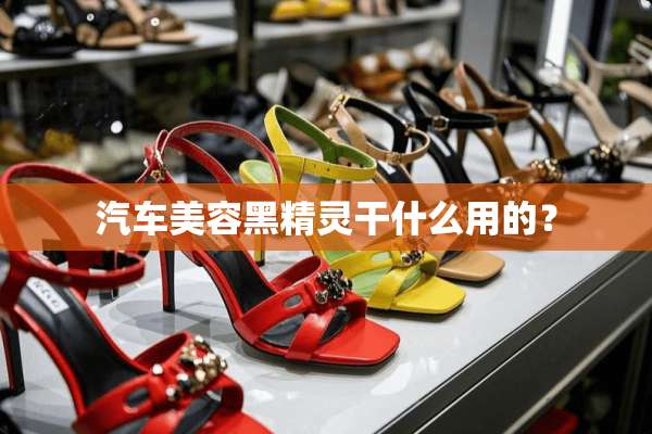 汽车美容黑精灵干什么用的？