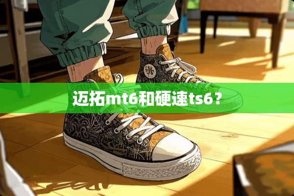 迈拓mt6和硬速ts6？