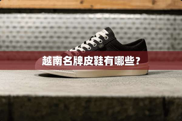越南名牌皮鞋有哪些？
