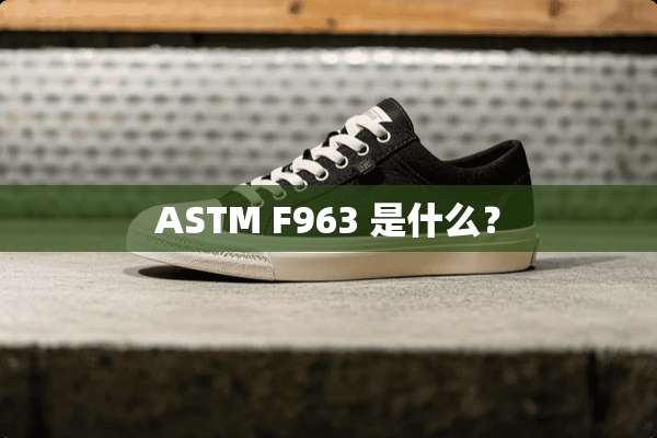 ASTM F963 是什么？