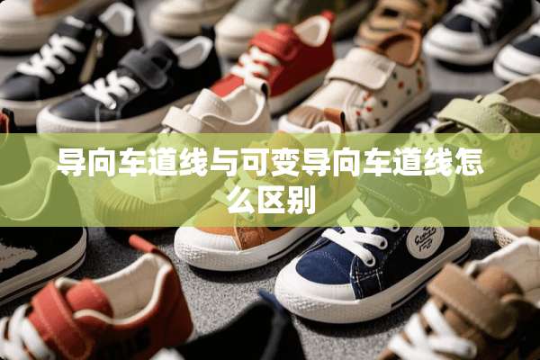 导向车道线与可变导向车道线怎么区别