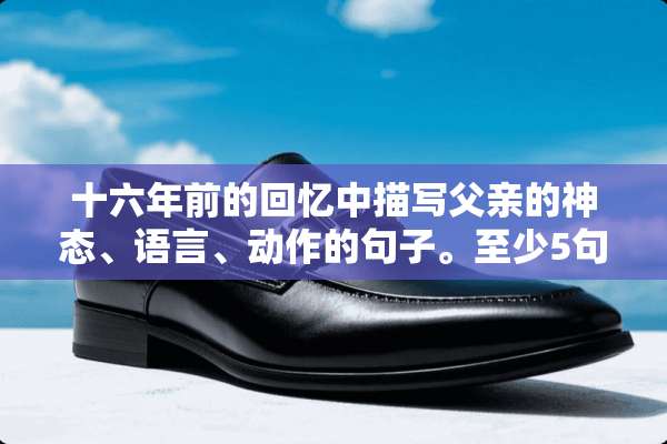 十六年前的回忆中描写父亲的神态、语言、动作的句子。至少5句写出父亲是个怎样的人。