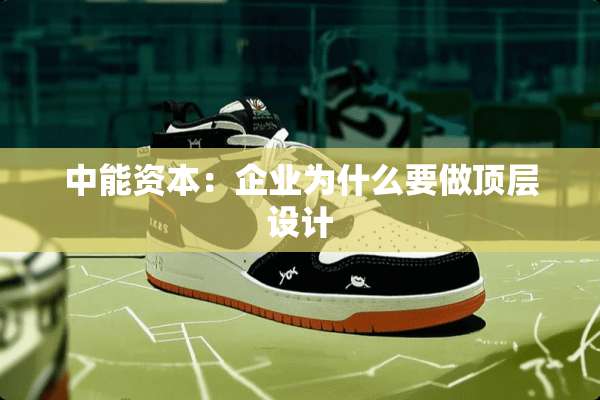 中能资本：企业为什么要做顶层设计