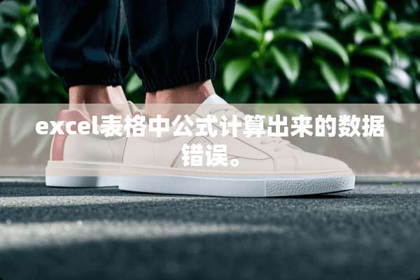 excel表格中公式计算出来的数据错误。