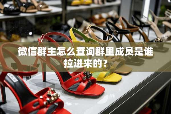 微信群主怎么查询群里成员是谁拉进来的？