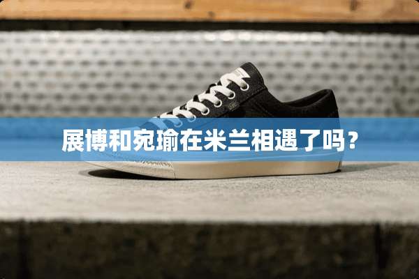 展博和宛瑜在米兰相遇了吗？