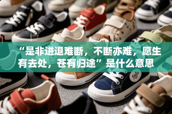 “是非进退难断，不断亦难，愿生有去处，苍有归途”是什么意思？