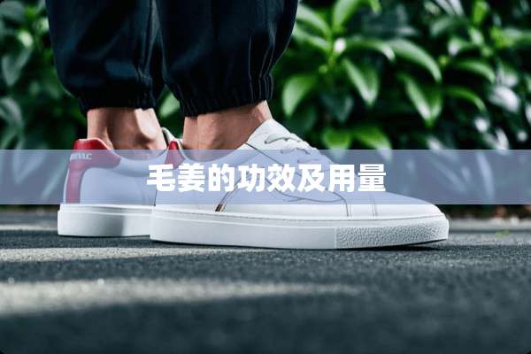 毛姜的功效及用量