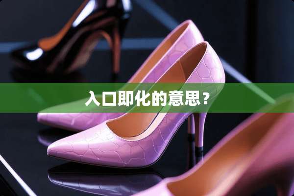 入口即化的意思？