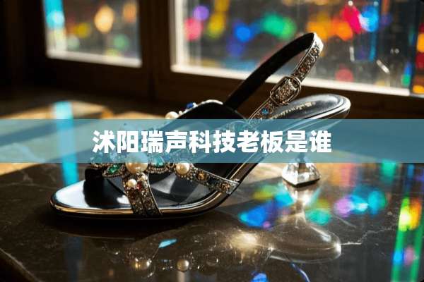沭阳瑞声科技老板是谁