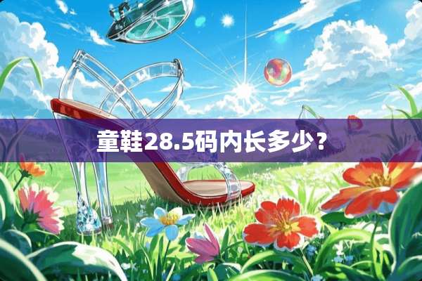 童鞋28.5码内长多少？