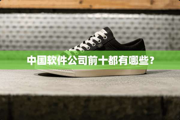 中国软件公司前十都有哪些？
