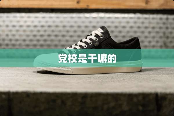 *校是干嘛的
