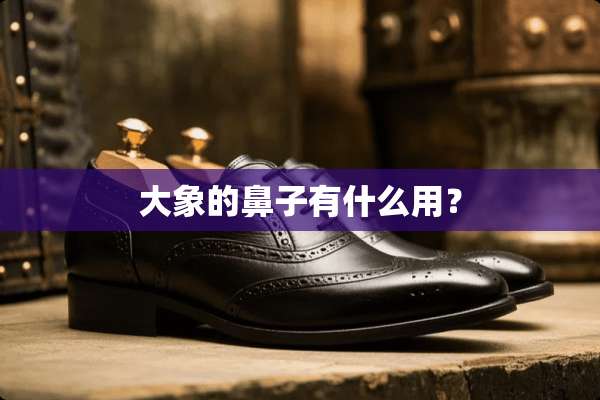 大象的鼻子有什么用？