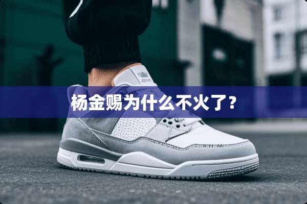 杨金赐为什么不火了？