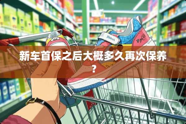 新车首保之后大概多久再次保养？