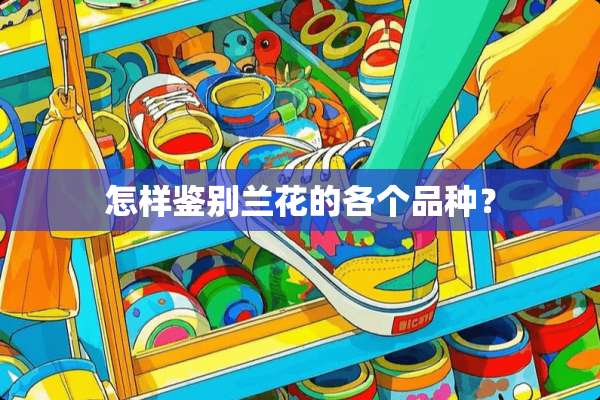 怎样鉴别兰花的各个品种？