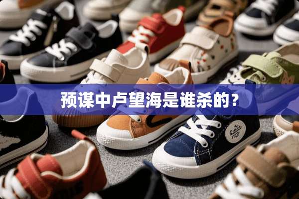 预谋中卢望海是谁杀的？