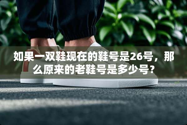 如果一双鞋现在的鞋号是26号，那么原来的老鞋号是多少号？