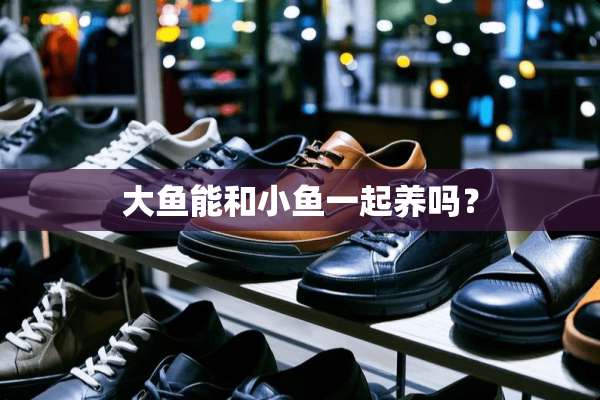 大鱼能和小鱼一起养吗？