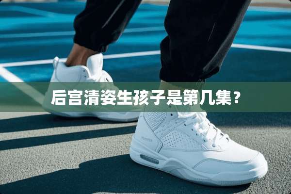 后宫清姿生孩子是第几集？