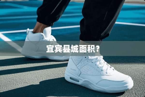 宜宾县城面积？