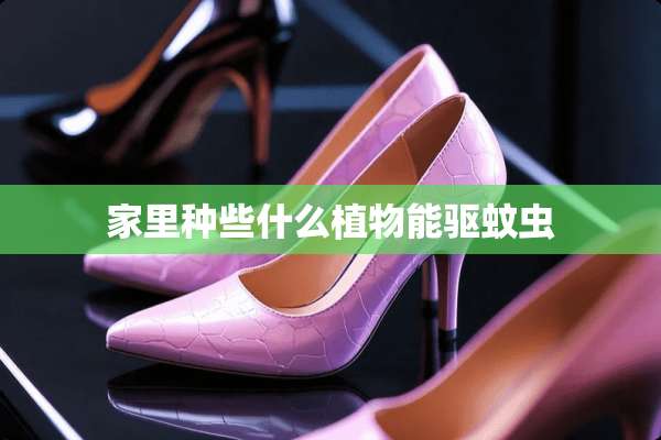 家里种些什么植物能驱蚊虫