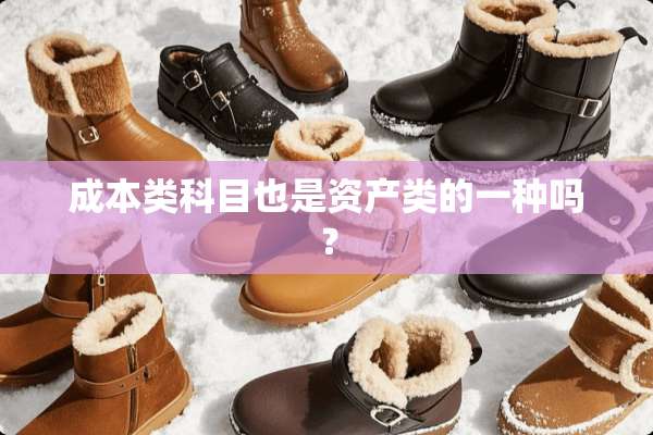 成本类科目也是资产类的一种吗？