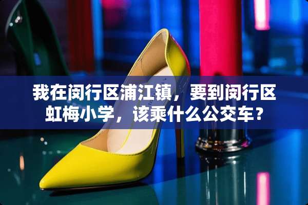 我在闵行区浦江镇，要到闵行区虹梅小学，该乘什么公交车？