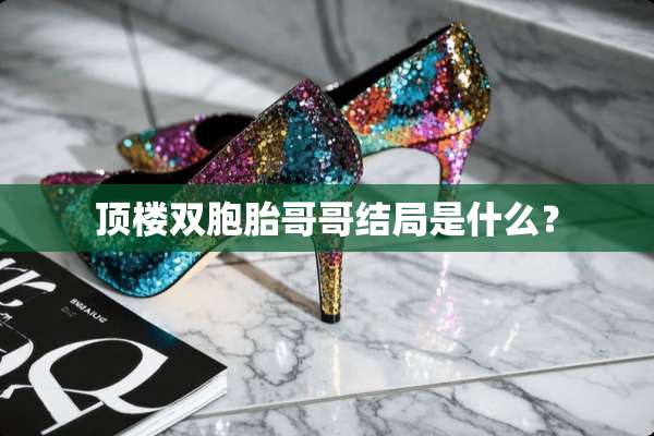 顶楼双胞胎哥哥结局是什么？