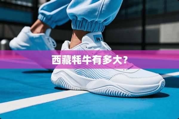 西藏牦牛有多大？