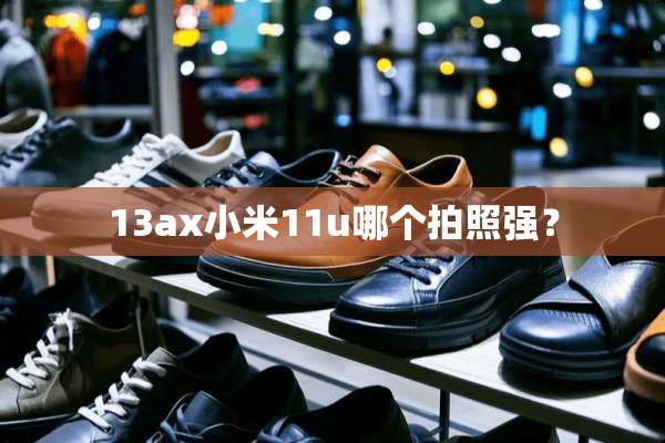 13ax小米11u哪个拍照强？