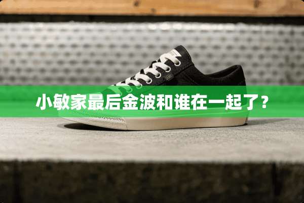 小敏家最后金波和谁在一起了？