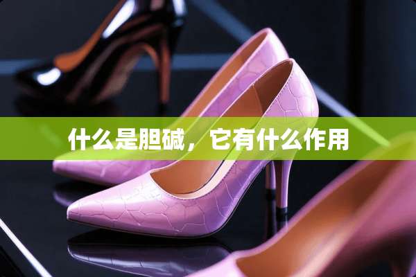 什么是胆碱，它有什么作用
