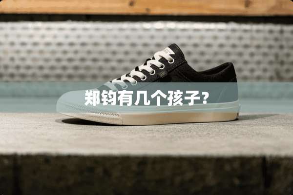 郑钧有几个孩子？
