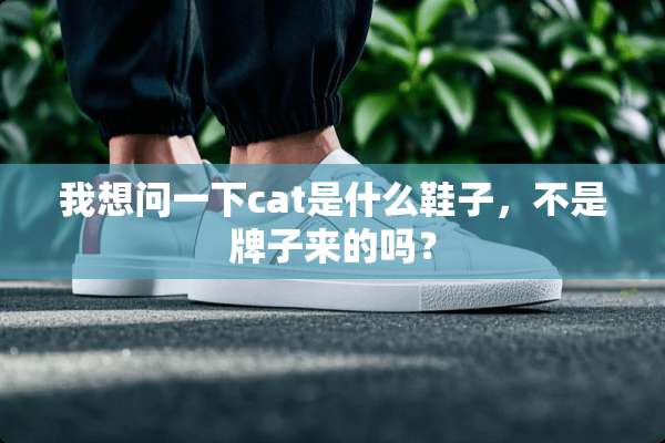 我想问一下cat是什么鞋子，不是牌子来的吗？
