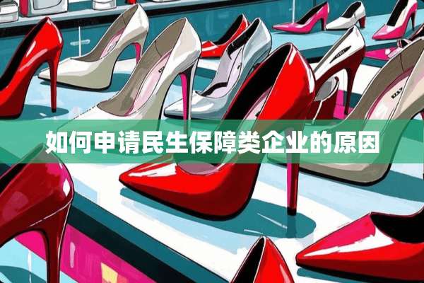 如何申请民生保障类企业的原因