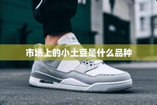 市场上的小土豆是什么品种