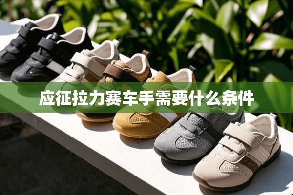 应征拉力赛车手需要什么条件