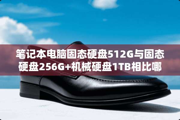 笔记本电脑固态硬盘512G与固态硬盘256G+机械硬盘1TB相比哪个更好？