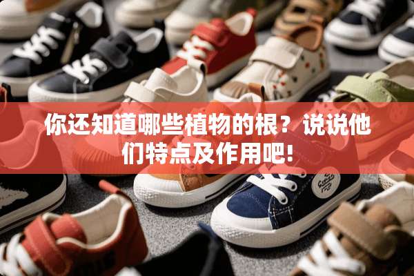 你还知道哪些植物的根？说说他们特点及作用吧!