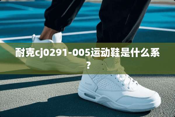 耐克cj0291-005运动鞋是什么系？