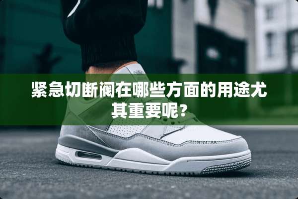 紧急切断阀在哪些方面的用途尤其重要呢？