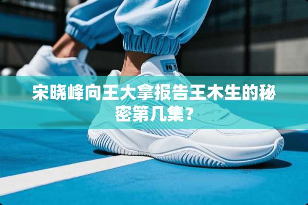 宋晓峰向王大拿报告王木生的秘密第几集？