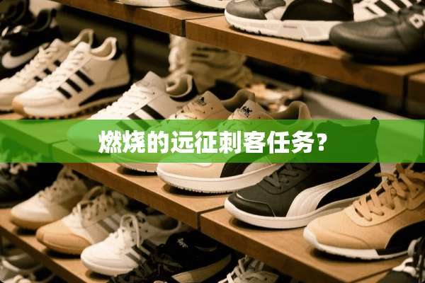 燃烧的远征刺客任务？